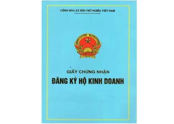 dich vu thanh lap ho kinh doanh ca the grande