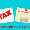 BÁO CÁO THUẾ LÀ GÌ? CÁC BƯỚC LÀM BÁO CÁO CHO DOANH NGHIỆP 2 dich vu bao cao thue la gi 1 1